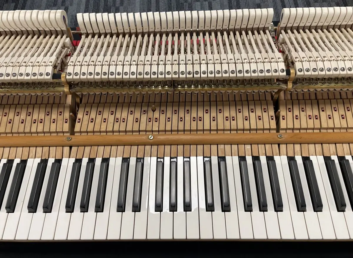 Steinway 6'1