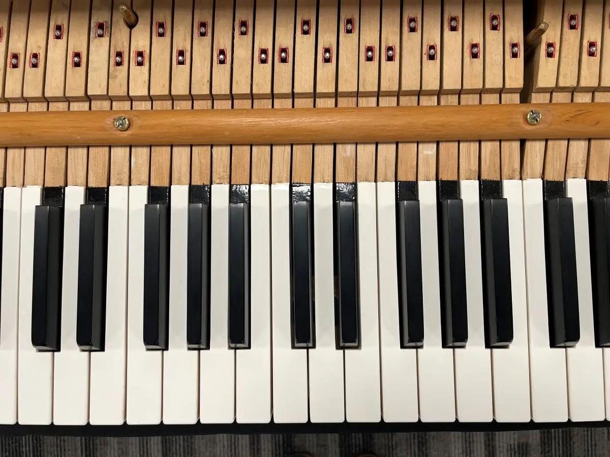 Steinway 6'1
