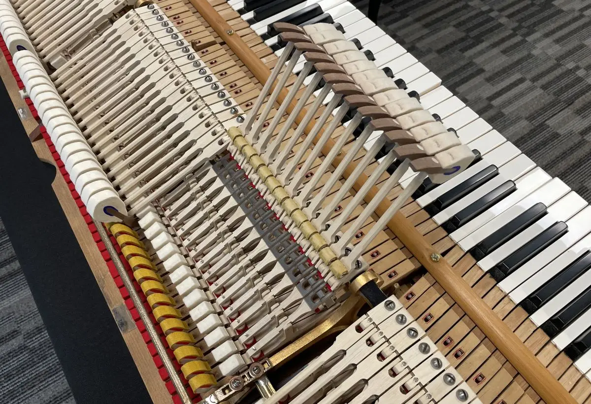 Steinway 6'1