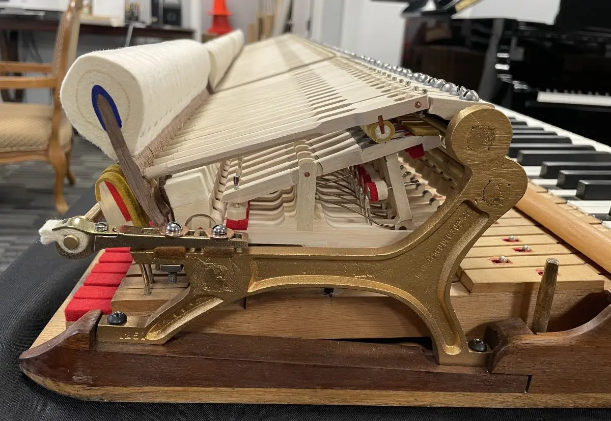 Steinway 6'1