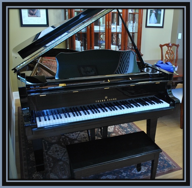 Picarzo Pianos Testimonial Photo