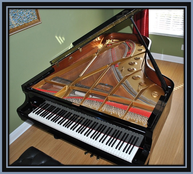 Picarzo Pianos Testimonial Photo