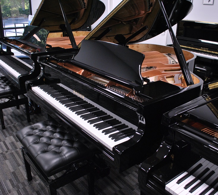 Picarzo Pianos Testimonial Photo